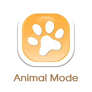 BEST LEARNING Stack & Learn